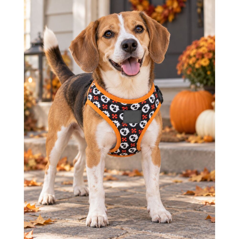 FuzzYard Skull & Crossbones Dog Harness – Black & Orange Halloween, Size Small